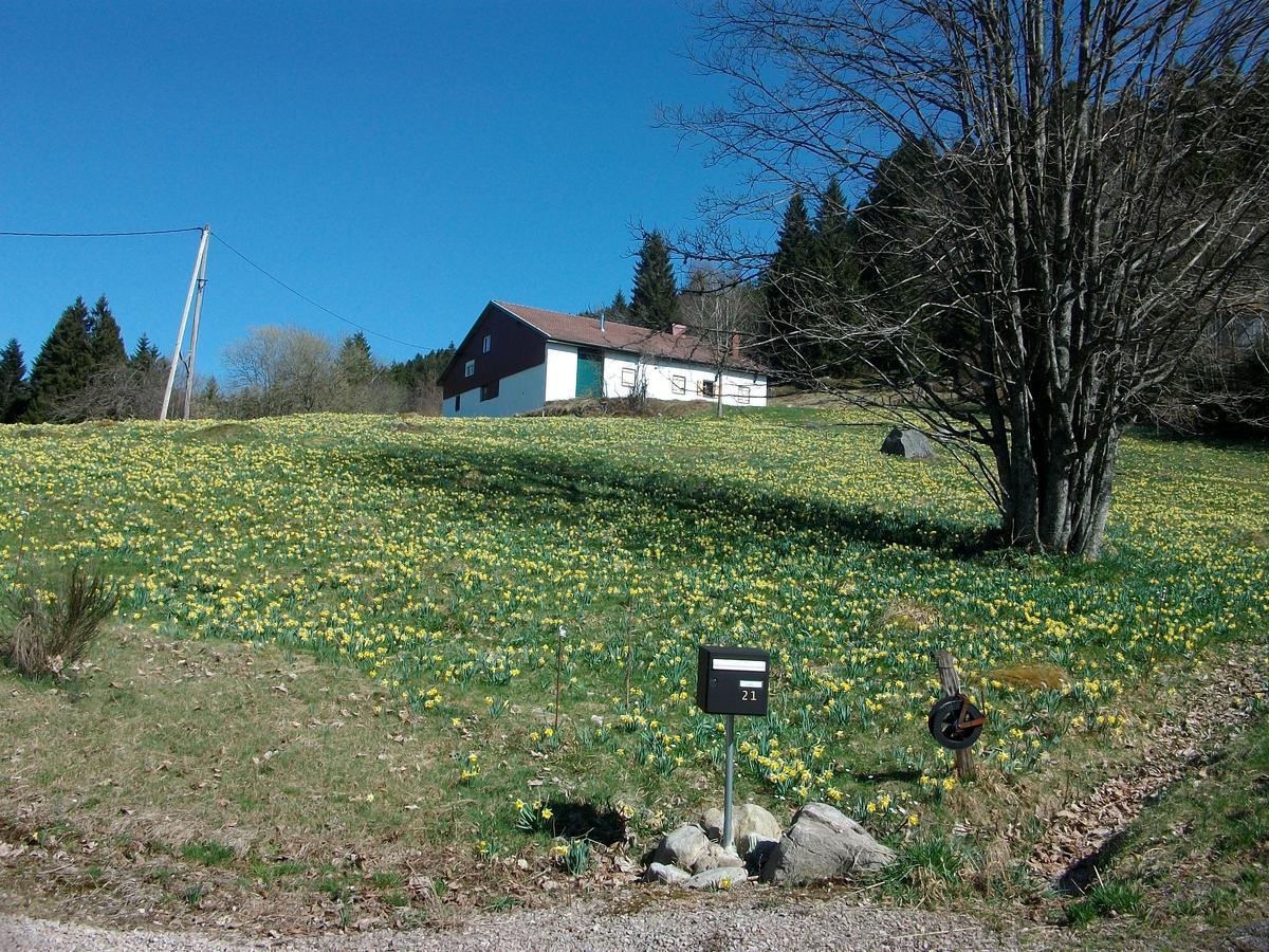 Appartement La Timoniere Gérardmer Exterior photo